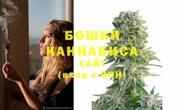крисы Михайлов